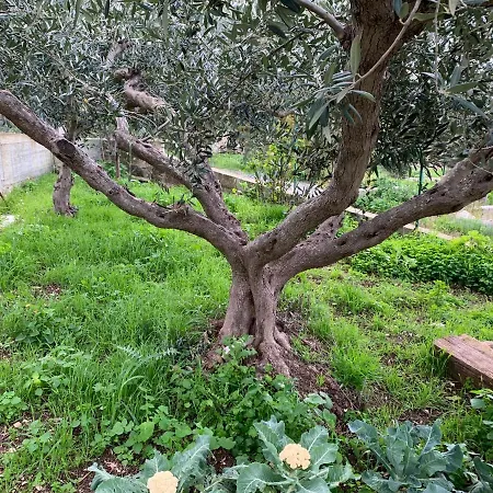 Li Vigni House Appartement